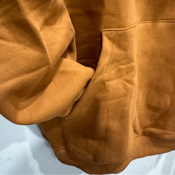 Revolve x Karla Longsleeve Hoodie in Bronze - Picture 4 of 5